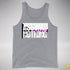 Assume Nothing Demisexual Pride Flag Premium Tank Top - Grey Heather