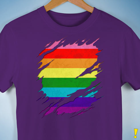 Original Gilbert Baker LGBTQ Gay Pride Flag Ripped Reveal Premium - Purple