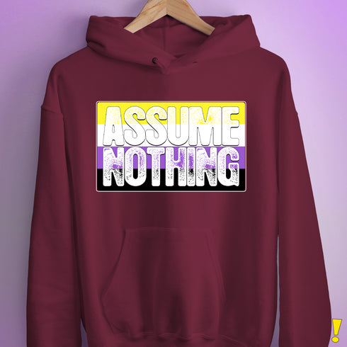 Assume Nothing Nonbinary Pride Flag Hoodie - Maroon