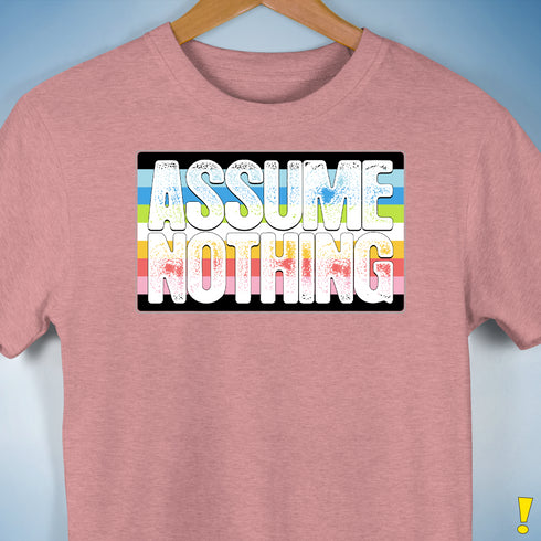 Assume Nothing Queer Pride Flag Premium Unisex T-Shirt - Mauve Heather