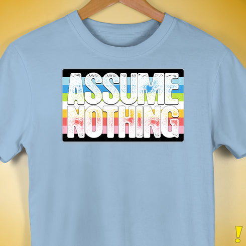 Assume Nothing Queer Pride Flag Premium Unisex T-Shirt - Baby Blue
